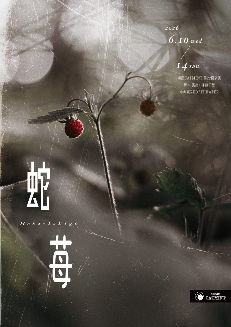 第22回 蛇苺 6月14日 17:00