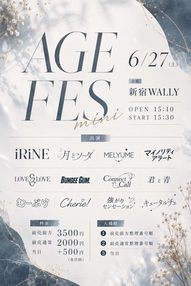 AGE FES mini